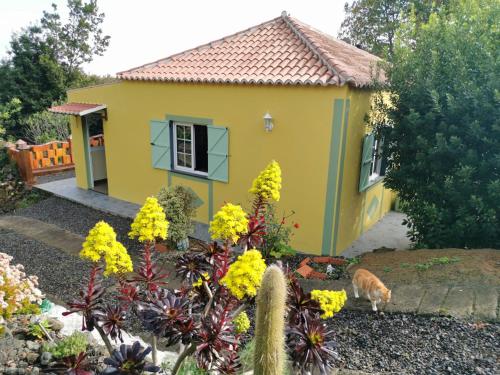Iraña del bosque (Irana del bosque) in 佈雷尼亞瓦哈