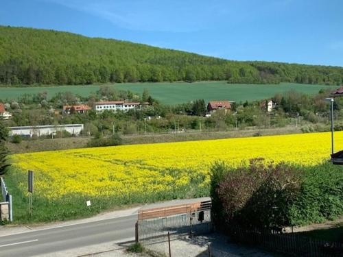 Ferienwohnung Werratal