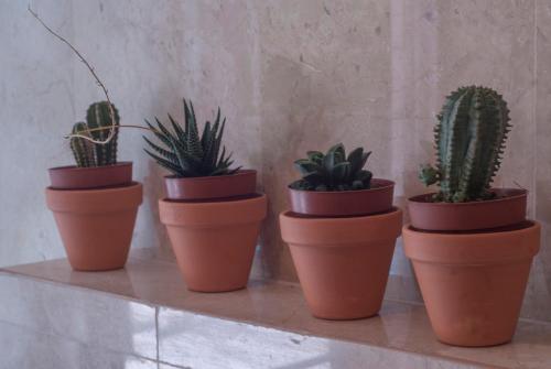 Villa Linda - image 13