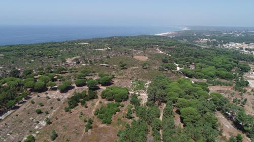 Villa Linda - image 12