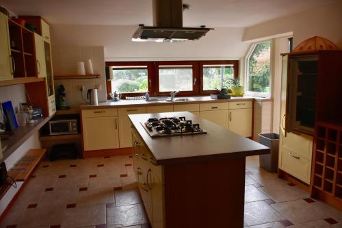 ทัศนียภาพภายนอกโรงแรม, Vakantiehuis het Voorhuis op Landgoed koepeltjesplaats in สกูล