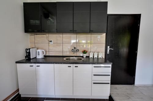 廚房, Apartman DORA in 阿蘭傑洛華茨