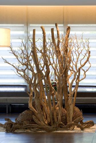 NH Collection Santiago de Compostela - image 8