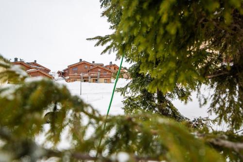 Parc Madeleine - CHALETS