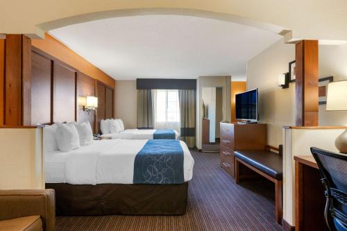 Comfort Suites Stevensville – St. Joseph - image 4