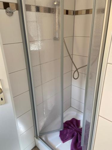 Ferienwohnungen Rehn, Dresda (foto 7)