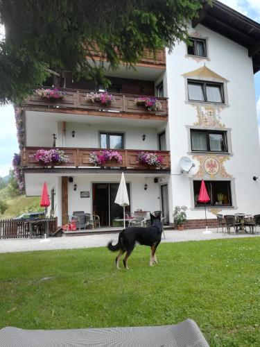 Bed & Breakfast Der Tiroler - image 5