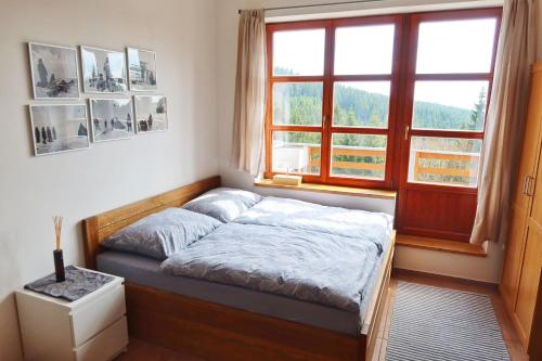 Cihlářka - horský apartmán 103, Černý Důl (zdjęcie 7)