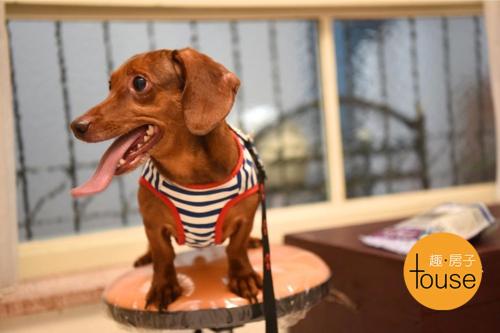 relais bijoux ischia via pendio del lapillo 1 ischia island italy it 80077 kamosu mori matsunoyama