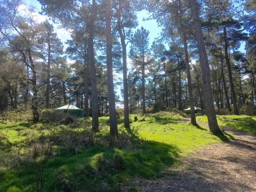 Penbedw Estate -Rural retreats,tennis