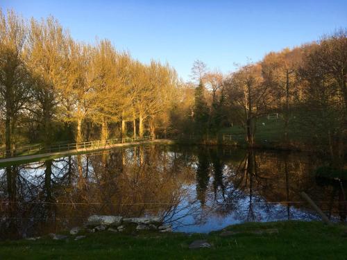 Penbedw Estate -Rural retreats,tennis