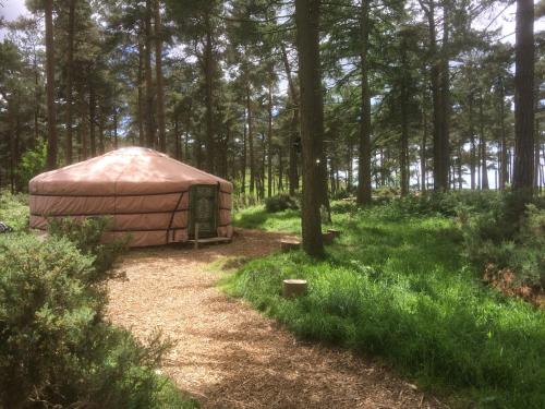Penbedw Uchaf Estate - Rural retreats, tennis 3