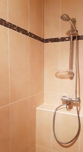 Studio Naturiste 