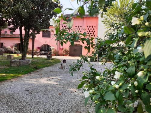  Residenza La Dimora ImPerfetta, Pension in Salionze