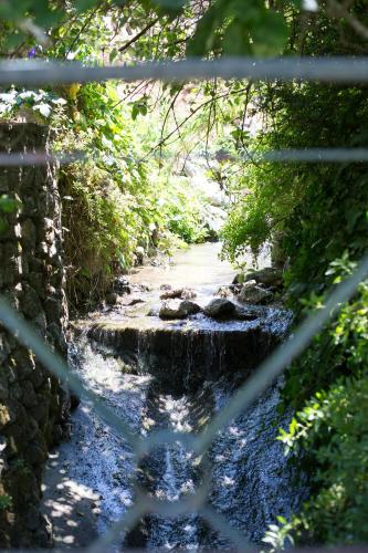 Sintra Center Guest House Escape to Nature 3