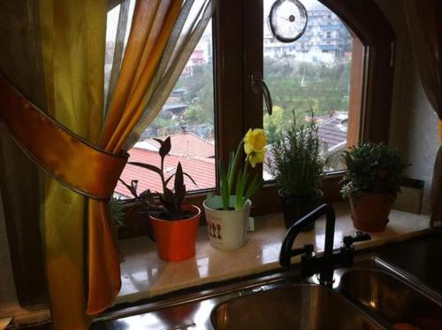 La scalinata del Borgo in Olevano Sul Tusciano