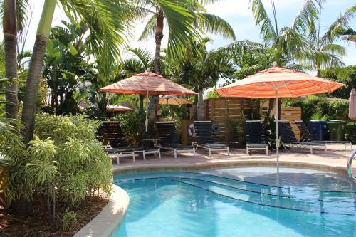 Swimmingpool, The Cabanas Guesthouse & Spa - Gay Resort catering to Gay Men in Wilton Manors