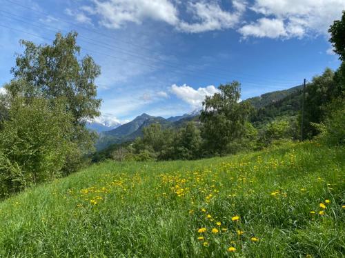 Eco Lodge with Jacuzzi and View in the Swiss Alps