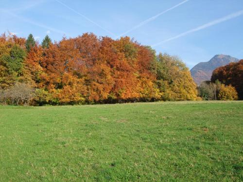 Le Domaine du Grand Cellier Chambres d'hôtes en Savoie - image 8
