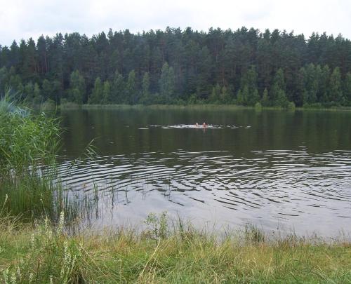 Gosciniec Nad Stawem - image 6