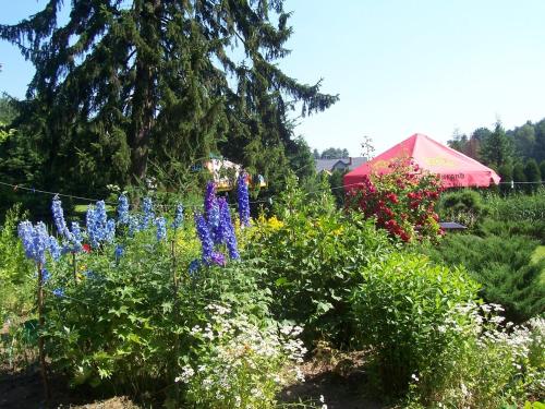 Gosciniec Nad Stawem - image 11