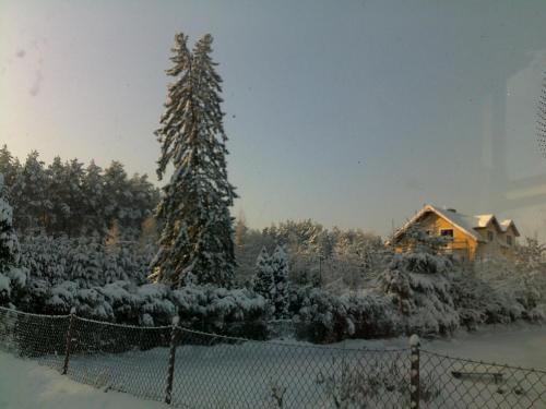 Gosciniec Nad Stawem - image 7