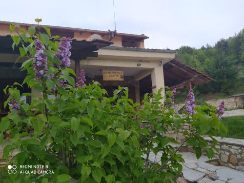  Alternative Tourism Park Vrontou, Pension in Áno Vrondoú bei Ángistron