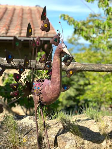 Agriturismo Attulaio