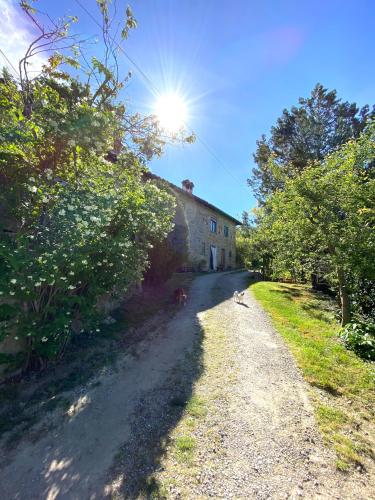 Agriturismo Attulaio