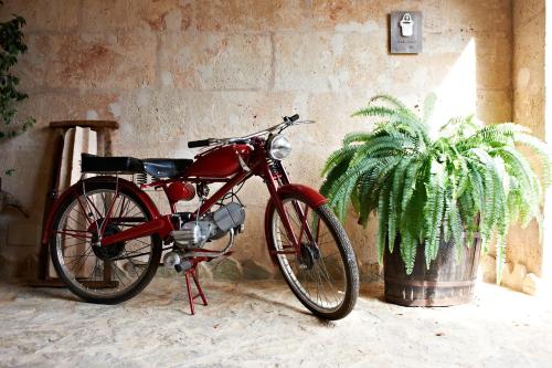 Agroturisme Perola - Only Adults - image 10