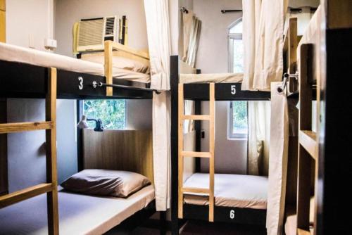 Bunks Hostel Room Type - Bunk Bed in Mixed Dormitory Room