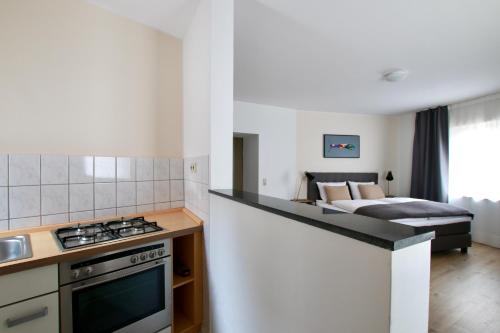 Arthouse Apartments im Belgischen Viertel - Aachener Weiher