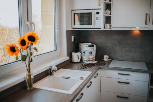 Apartmán Lomnica - image 12