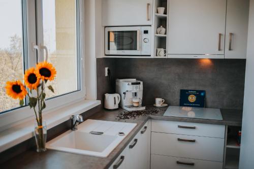 Apartmán Lomnica - image 3