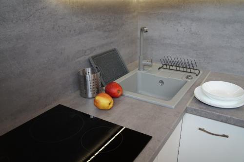 Apartament Gliwice Centrum Dunikowskiego z garażem