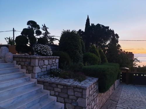 Elaianthos - image 2