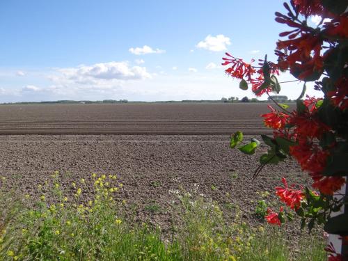 Vakantiewoning Akkerrand Kamperland in 金帕蘭