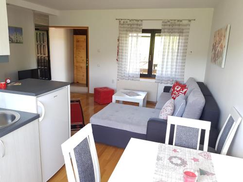 ห้องครัว, Apartments Hill House Zlatibor in รูดิเน