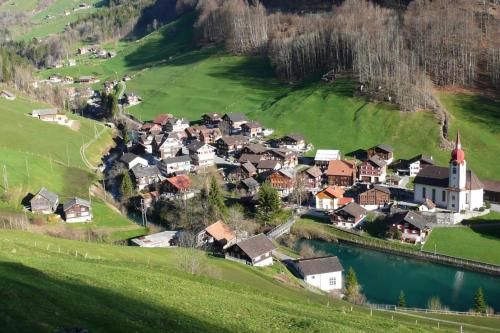 Ferienwohnung ob Vierwaldsättersee - Apartment - Isenthal