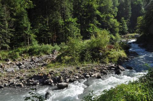 Ferienwohnung ob Vierwaldsättersee