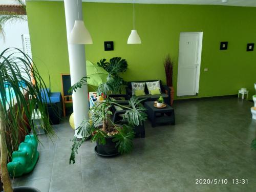 大堂, Apartamentos El PATIO in 洛斯利亞諾斯
