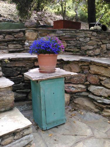 Traditional Stone House