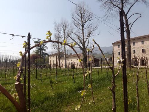 Agriturismo La Bella - image 6