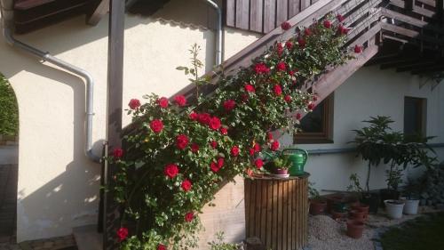 Apartment with Garden View