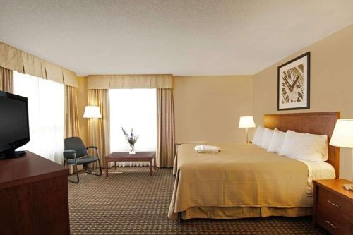 King Suite with Sofa Bed - Non-Smoking