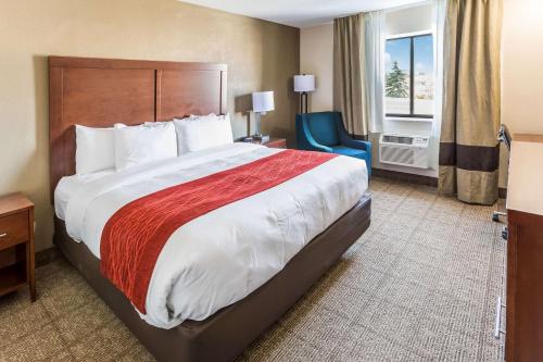 King Room - Non-Smoking