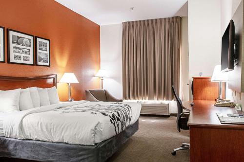 1 king bed