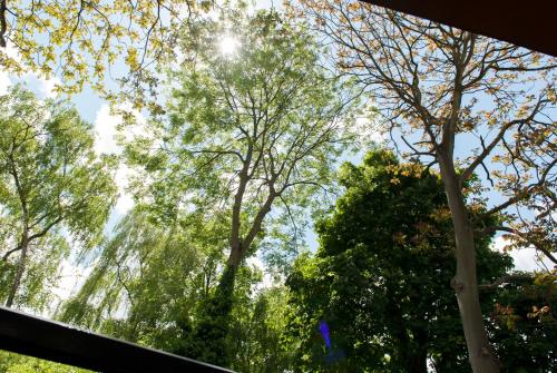 Boutique Hotel De Salon - main image