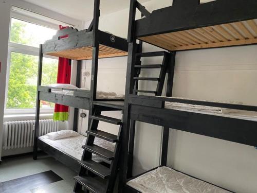instant Sleep Backpacker Hostel - image 2