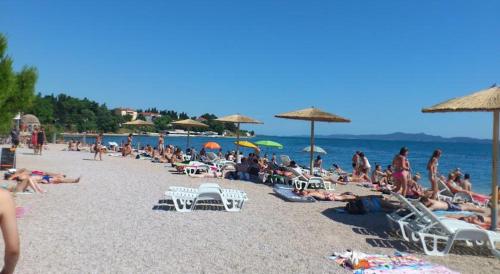 Apartment near center,beach,bus +free parking